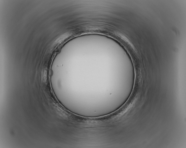 X0000113350777200910061018