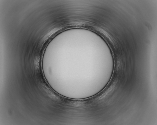 X0000113350778200910061018