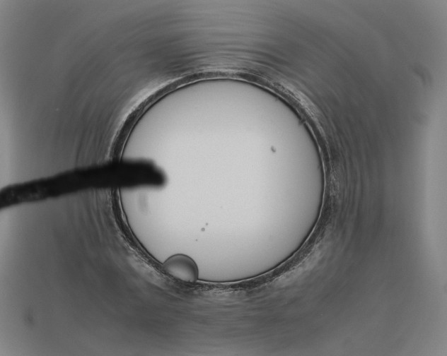 X0000113350779200910061018