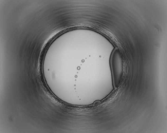 X0000113350780200910061018