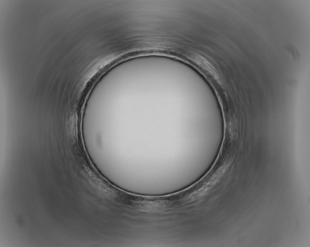 X0000113350781200910061018