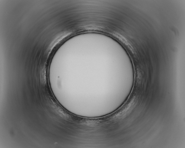 X0000113350782200910061018