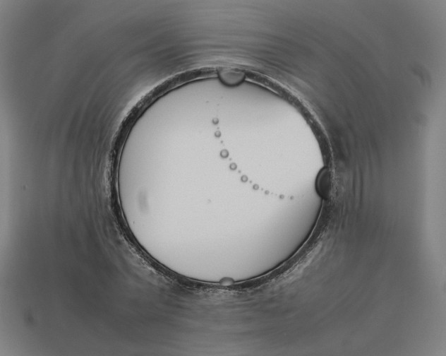 X0000113350783200910061018