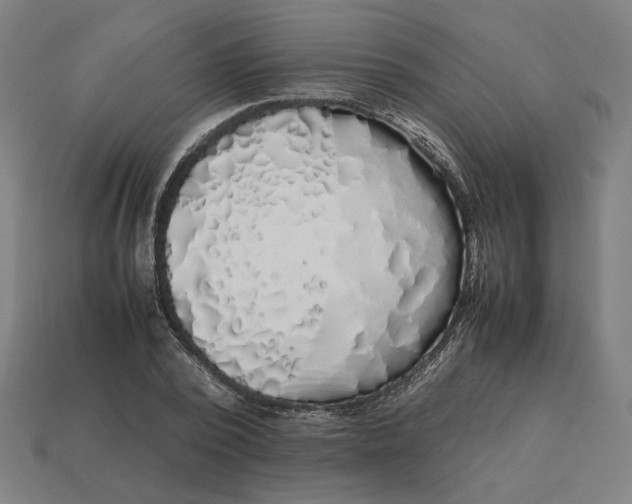 X0000113350784200910061018