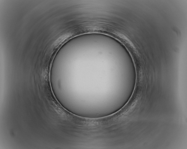 X0000113350785200910061018