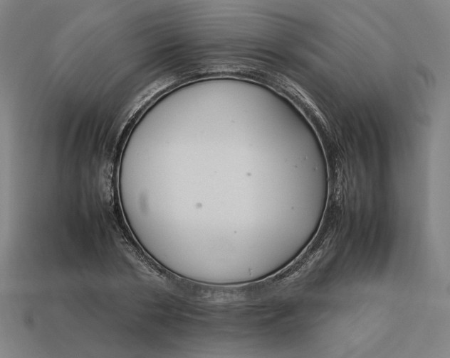 X0000113350786200910061018