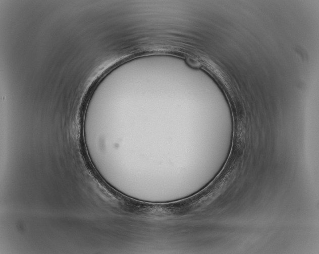 X0000113350787200910061018