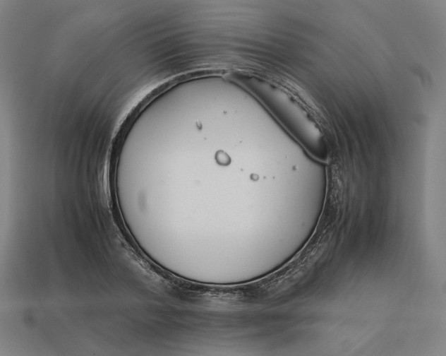 X0000113350788200910061018