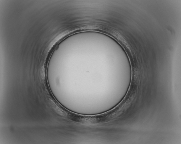 X0000113350789200910061018