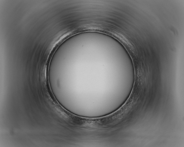 X0000113350790200910061018