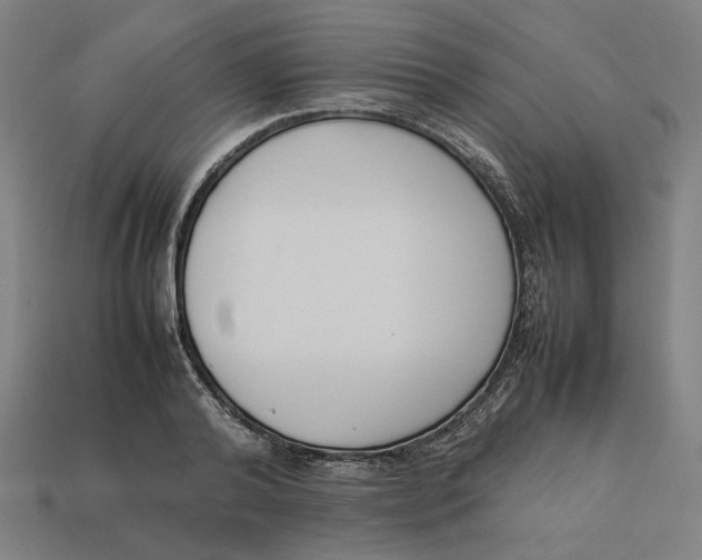 X0000113350792200910061018