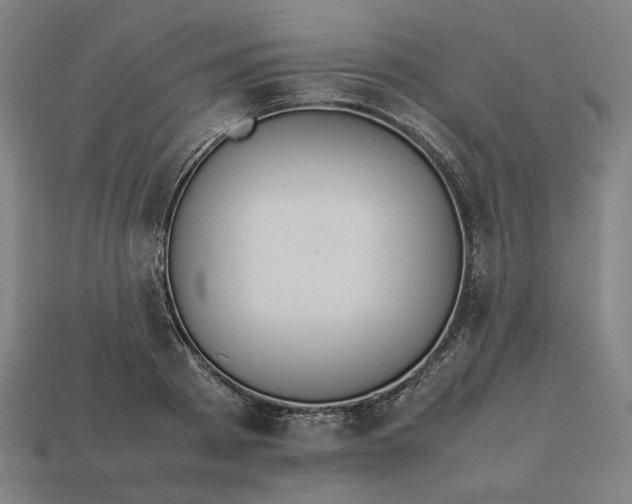 X0000113350793200910061018