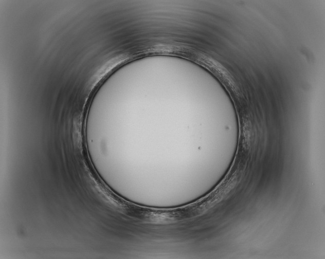 X0000113350794200910061018