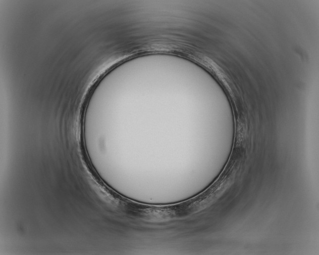 X0000113350795200910061018