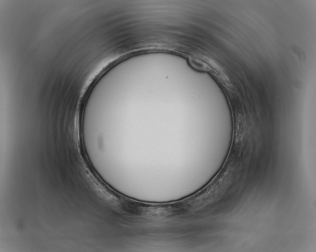 X0000113350796200910061018