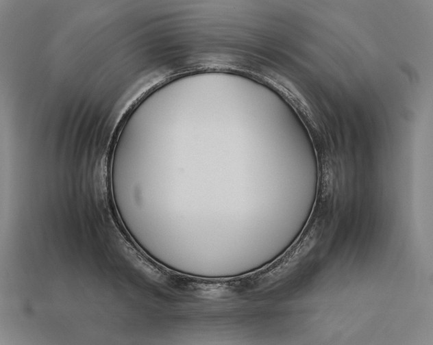 X0000113350798200910061018