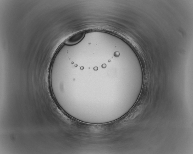 X0000113350799200910061018