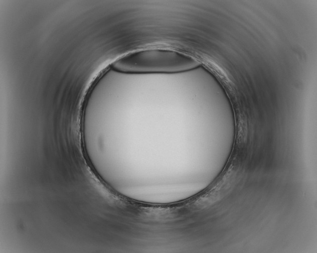 X0000113350800200910061018