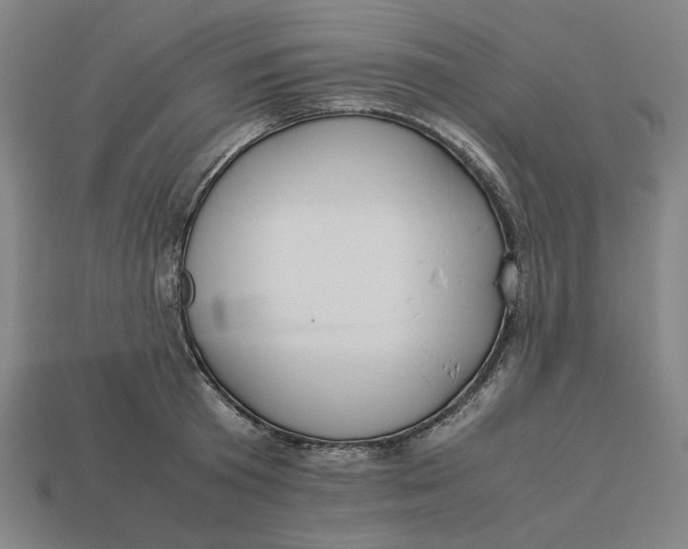 X0000113350801200910061018