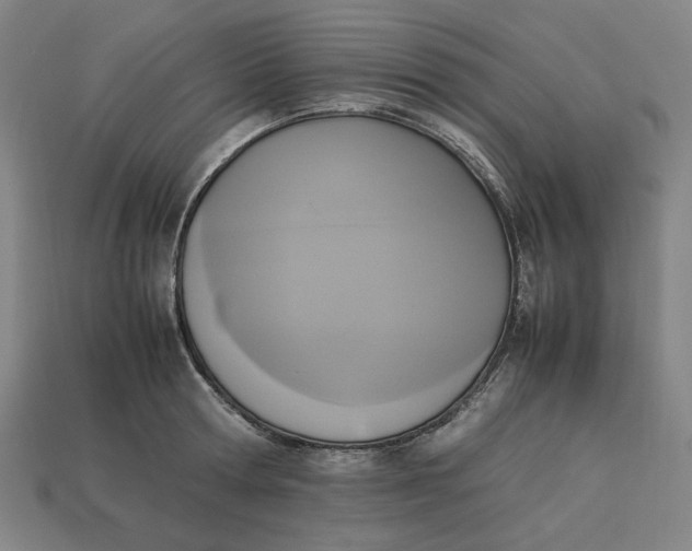 X0000113350802200910061018