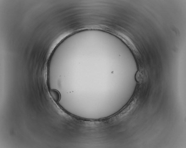 X0000113350804200910061018