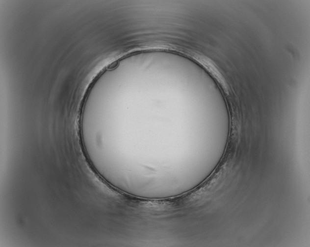 X0000113350805200910061017