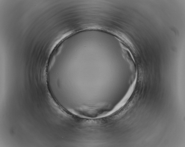 X0000113350806200910061017