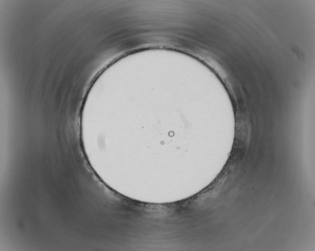 X0000113350807200910061017