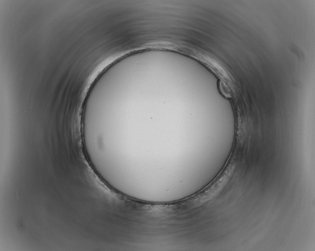 X0000113350808200910061017