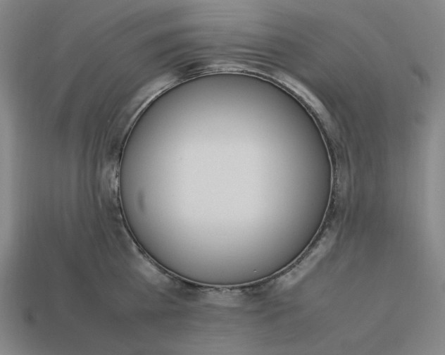 X0000113350809200910061017