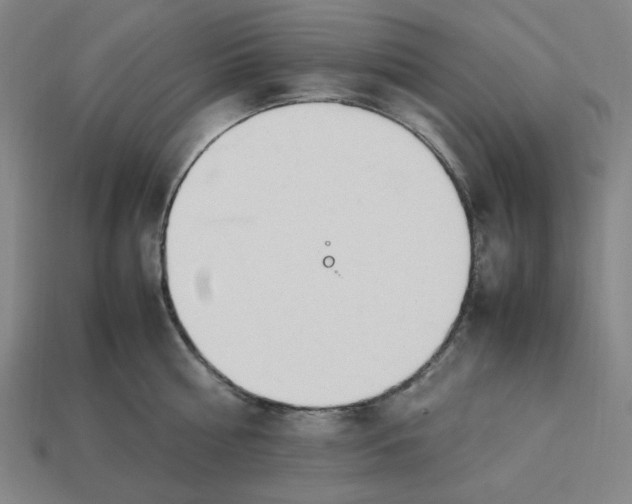 X0000113350810200910061017