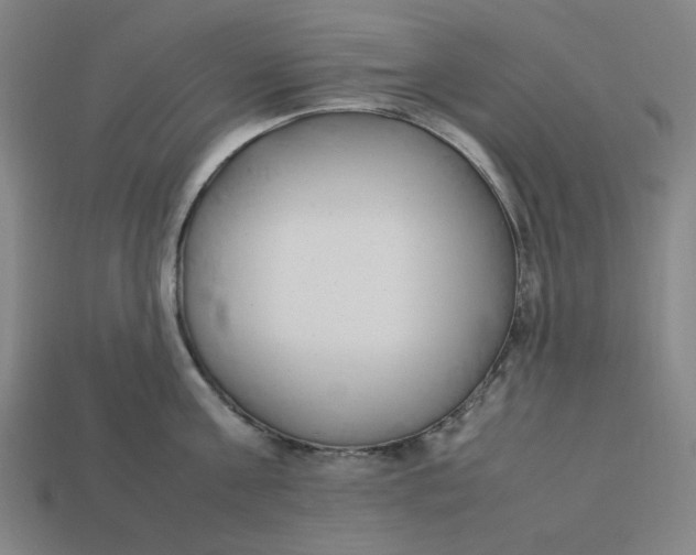 X0000113350811200910061017