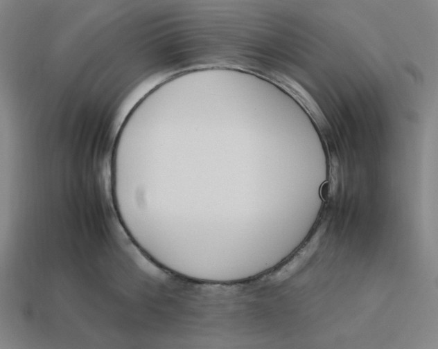 X0000113350812200910061017