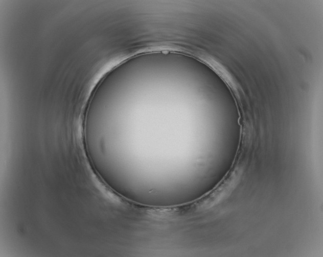 X0000113350813200910061017