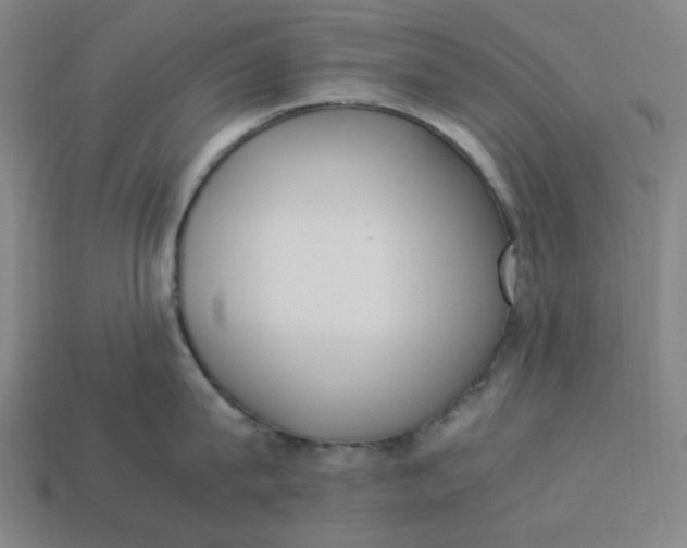 X0000113350815200910061017