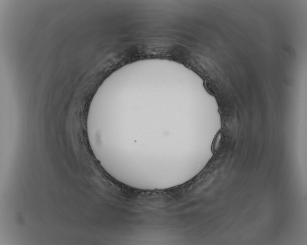 X0000113350817200910061017