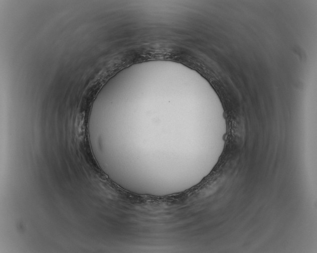 X0000113350818200910061017