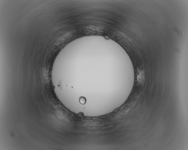 X0000113350819200910061017