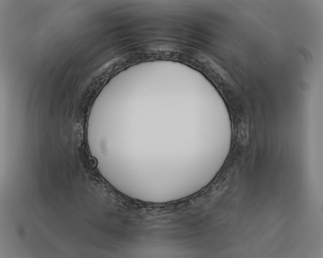 X0000113350821200910061017