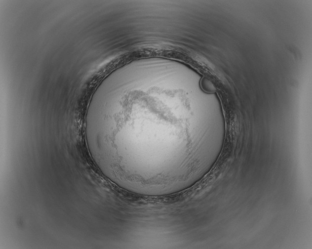 X0000113350822200910061017