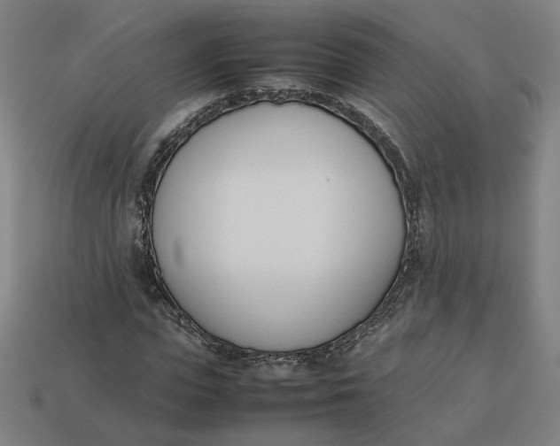 X0000113350823200910061017