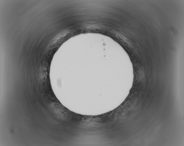 X0000113350824200910061017