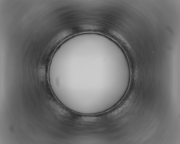 X0000113350825200910061017