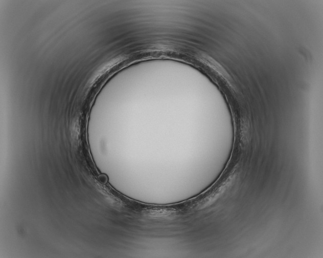 X0000113350826200910061017