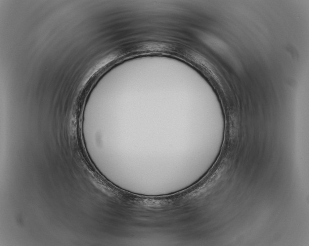 X0000113350827200910061017