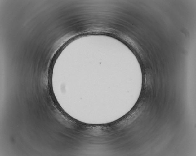 X0000113350828200910061017