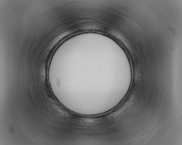 X0000113350829200910061017