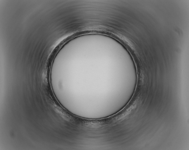 X0000113350830200910061017