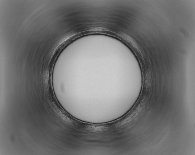 X0000113350831200910061017