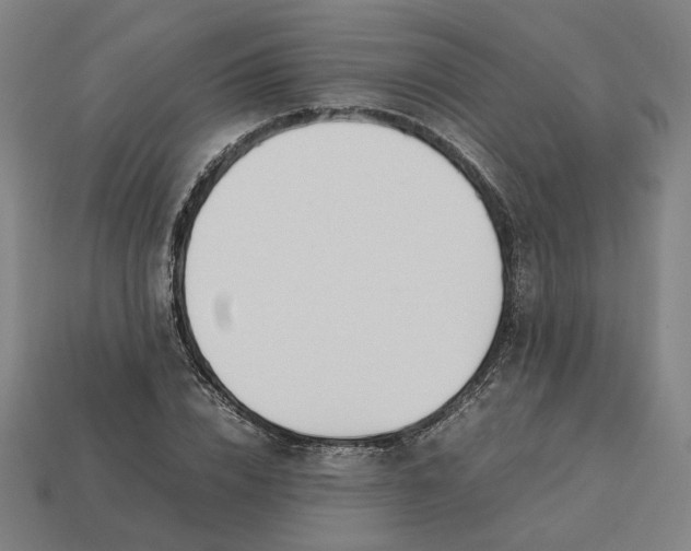 X0000113350832200910061017